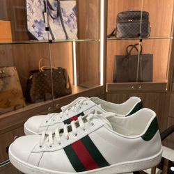 Gucci Mens Sneakers Size-9US