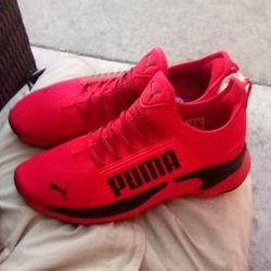 Puma