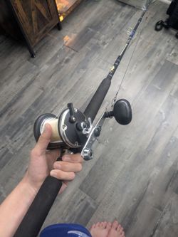 Shark combo