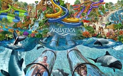 Theme Parks And Water Park Discounts