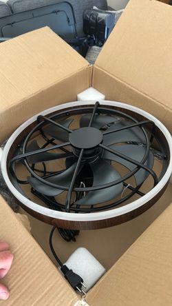 Ceiling Fan Light Fixture with Cage Guard
