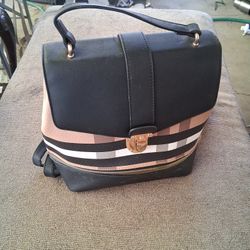 Hand Bag Near Brand New 