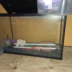 Fish Tank And Equipment 