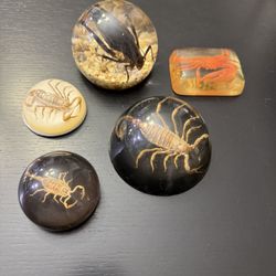 Scorpion And Other Paper Weights