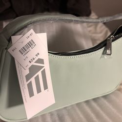 Brand New Purse (cost $27)
