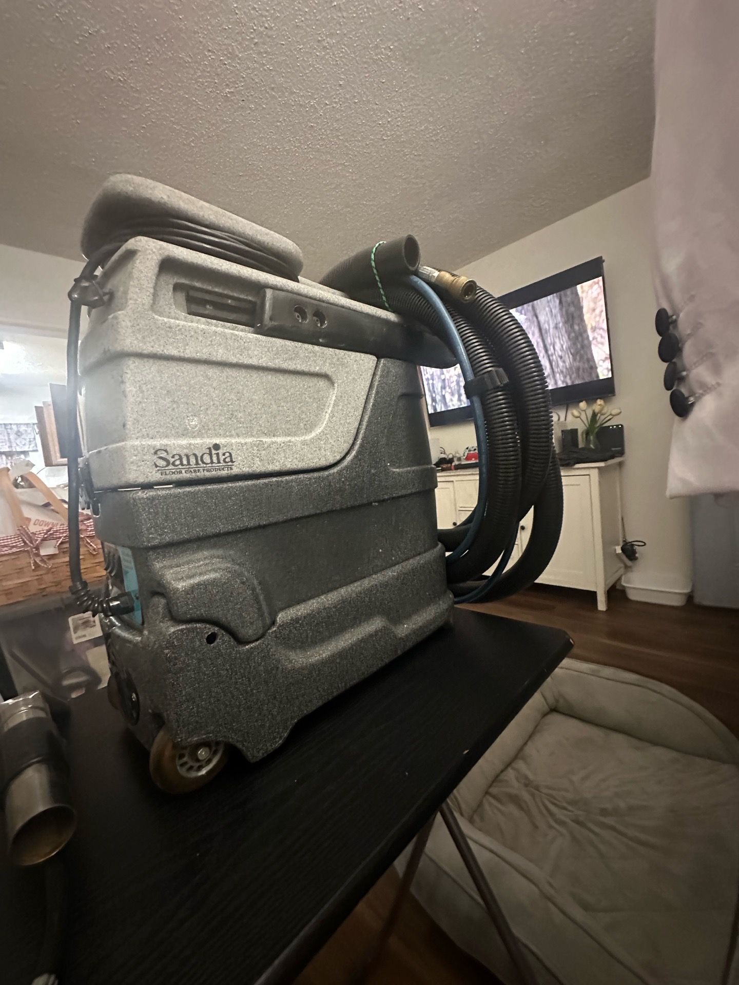 Extractor vacuum cleaner sandia