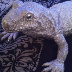 Silver Metallic Lizard Sculpture!