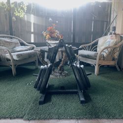 Golds Gym Plate Tree (plates Included) 