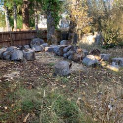 Free Firewood