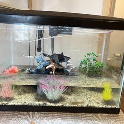 Aquarium 