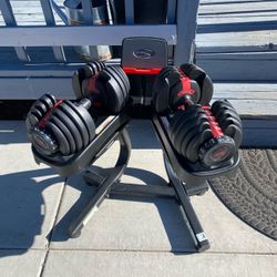 Bowflex Weights and Stand 