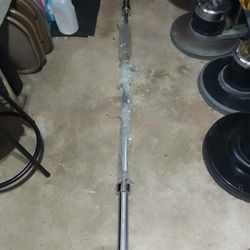 Olympic Bars & Olympic Curl Bars+