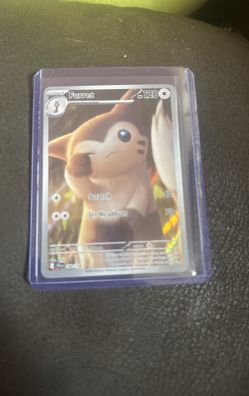 Furret