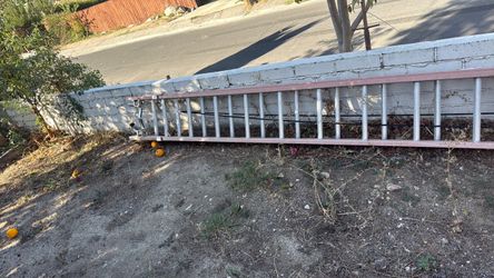 Ladder