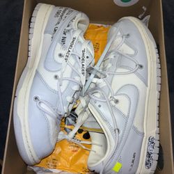 Nike Offwhite Dunk Lot 49