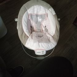 Baby Bouncer