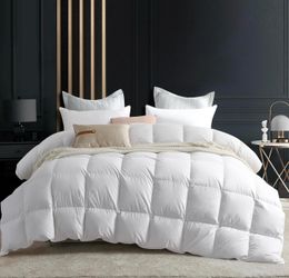 C&W Down Comforter Super King 120"x120" All Season Oversized Duvet Insert White Fluffy Soft 100% Cotton Shell 750 FP 95oz 3D Baffle Box Breathable Med