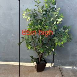 Artificial Plant