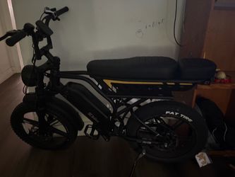 Fat Tire Electric Bike with Dual Seat