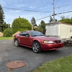2000 Ford Mustang