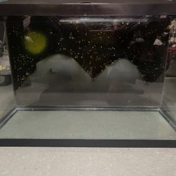 Marineland Fish Tank (With Painted Background)