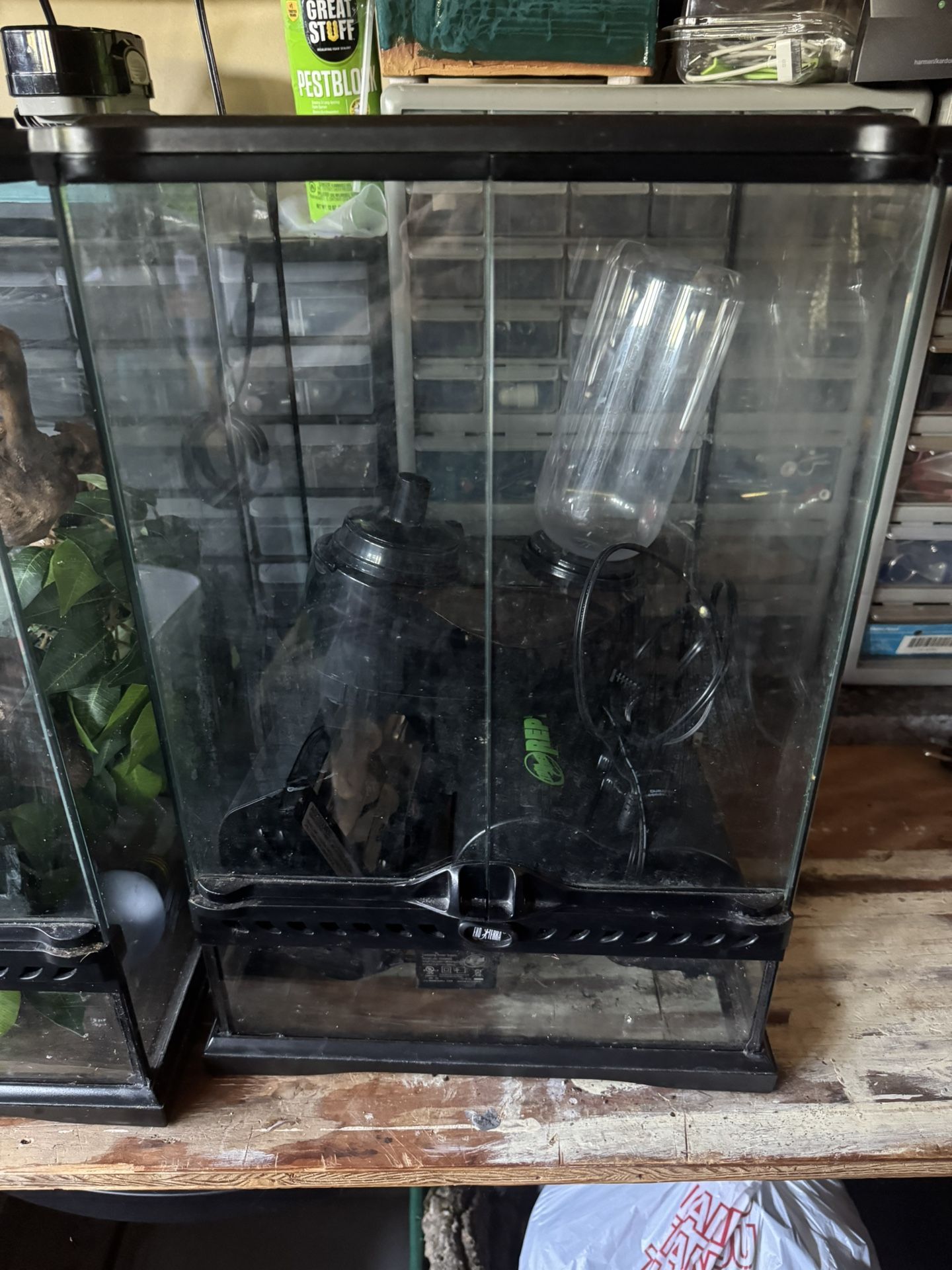 Reptile Tanks + Reptile Decor 