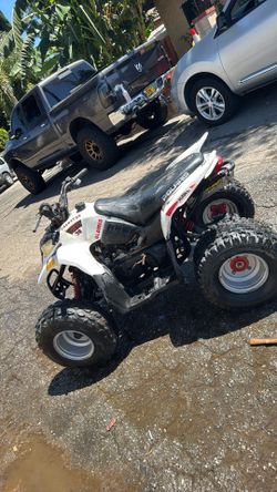 Polaris predator 90cc