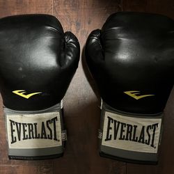8OZ  Everlast Boxing Gloves 