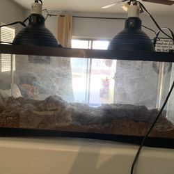 Reptile Tank