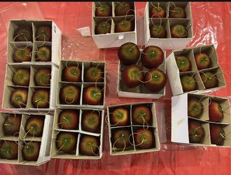 Christmas ornaments.Elegant Red Velvet Apple Christmas Ornaments . 11 boxes set of 4  apples ornaments each box . New  The size of ornament is 3.2 inc