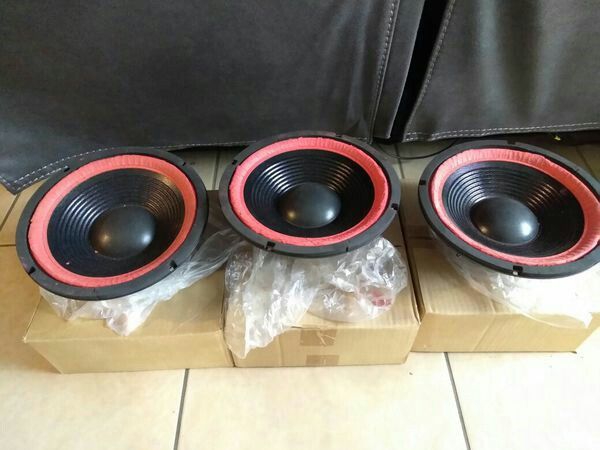 Blaster 150 Watt 10 Inch Speakers Subwoofers