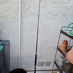 Californian by Penn rod