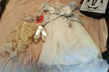 Disney Princess Cinderella Costume