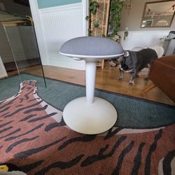 Adjustable Tilting/Rocking Stool $10