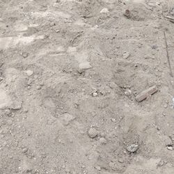 Free Dirt And Free Delivery 