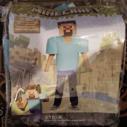 Minecraft Halloween costume 10-12