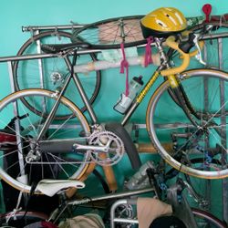 Litespeed Bicycles