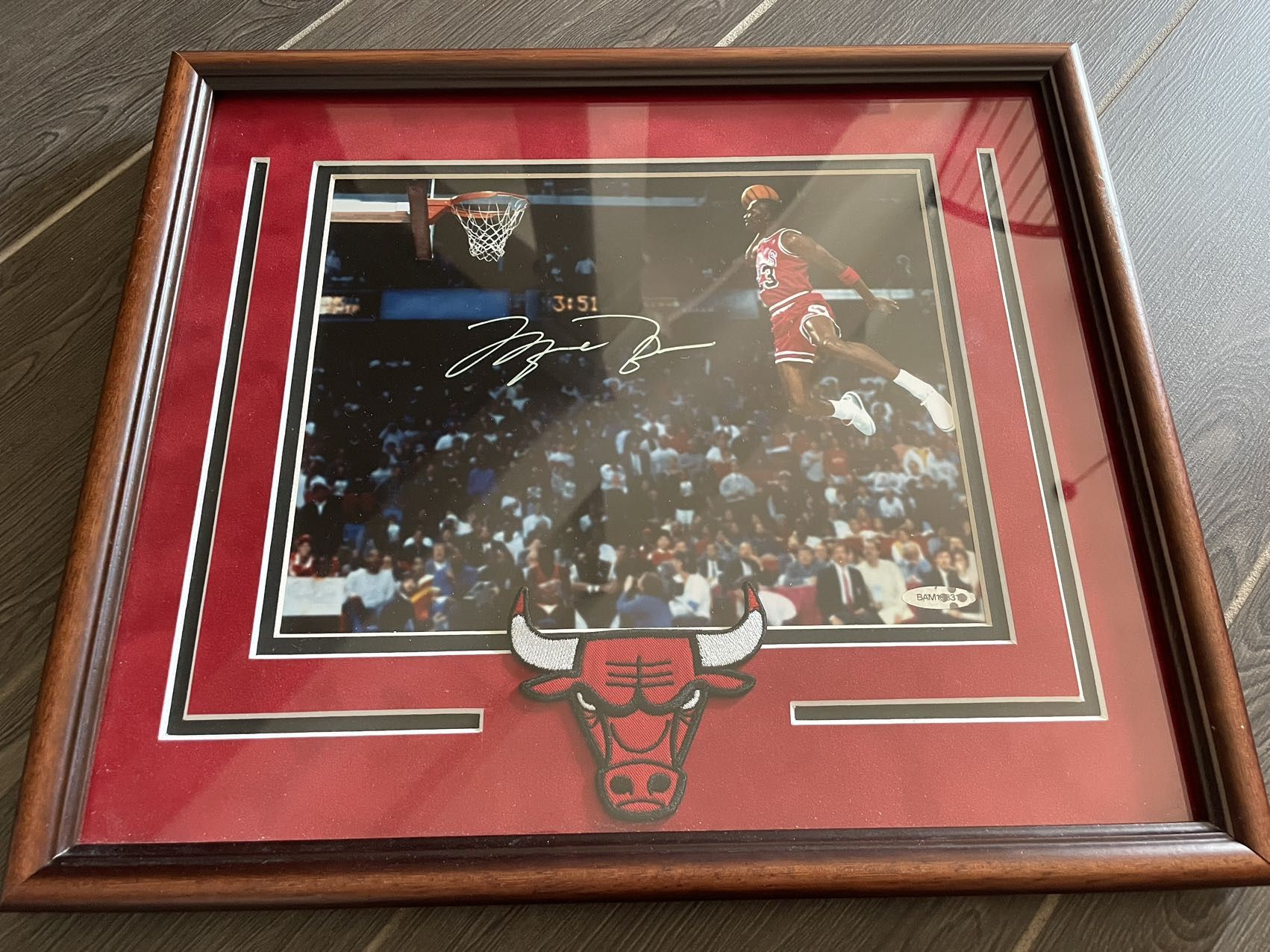 Michael Jordan Signed Print Autograph Photo
