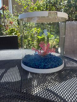 3 gallon fish tank