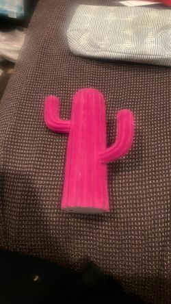 Pink Cactus Stand