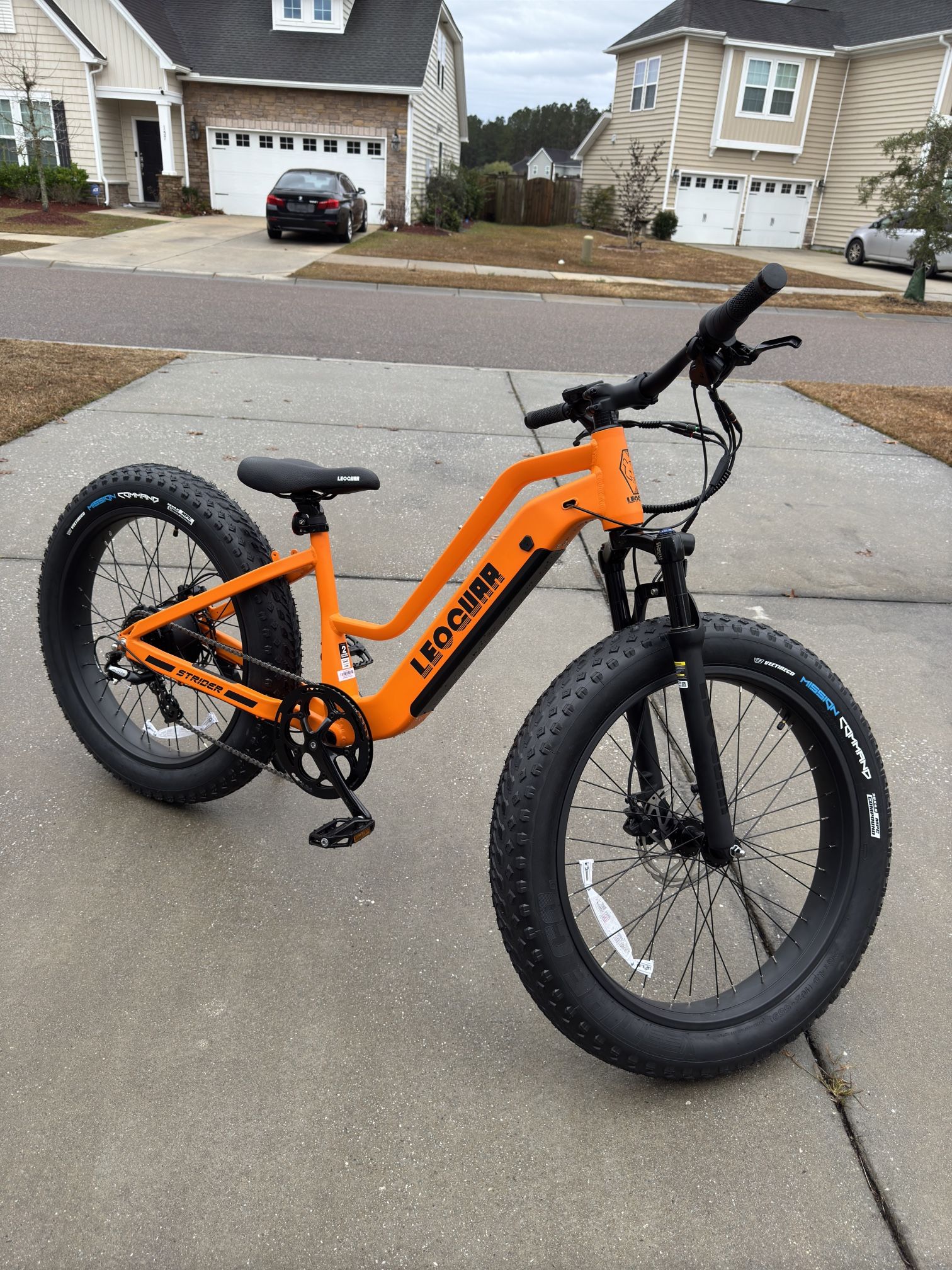 Fat Tire Electric Bike