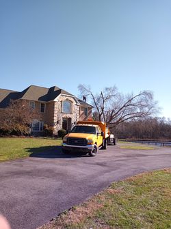 Ford 350 99 7.3 $5700 186000 millas