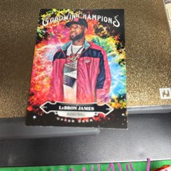 LeBron James 