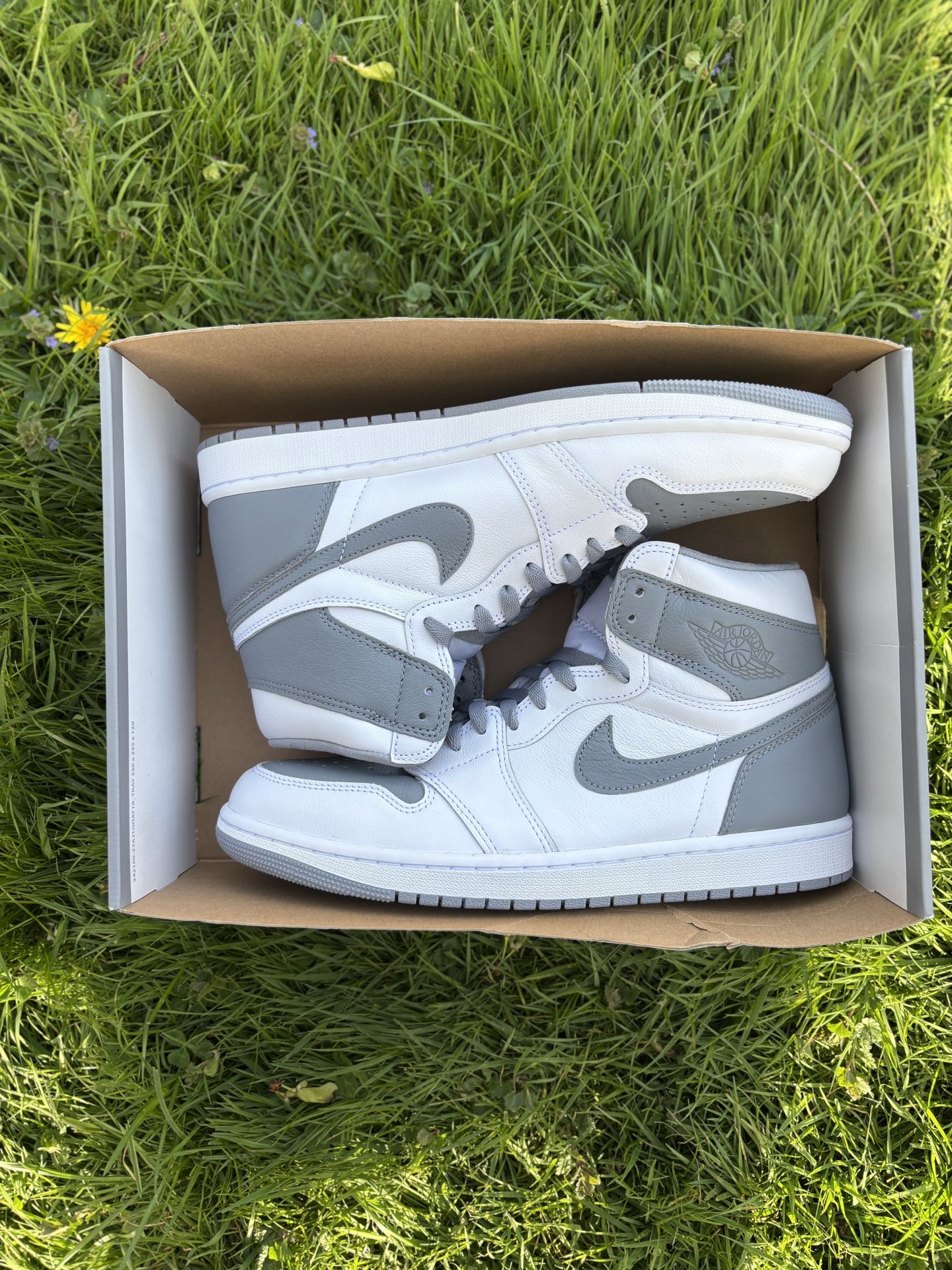 Jordan 1 Stealth