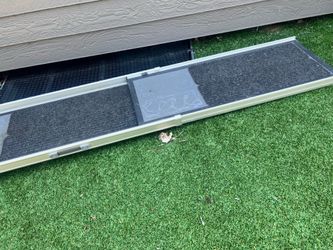 Doggie or Kids Ramp
