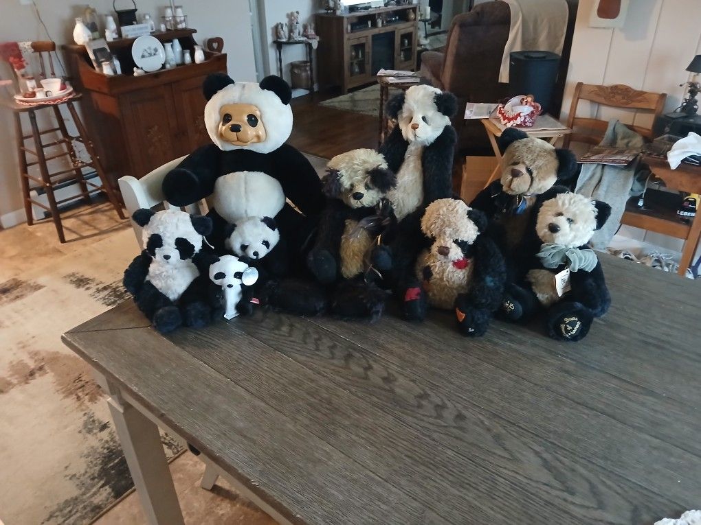 Panda Bear COLLECTION