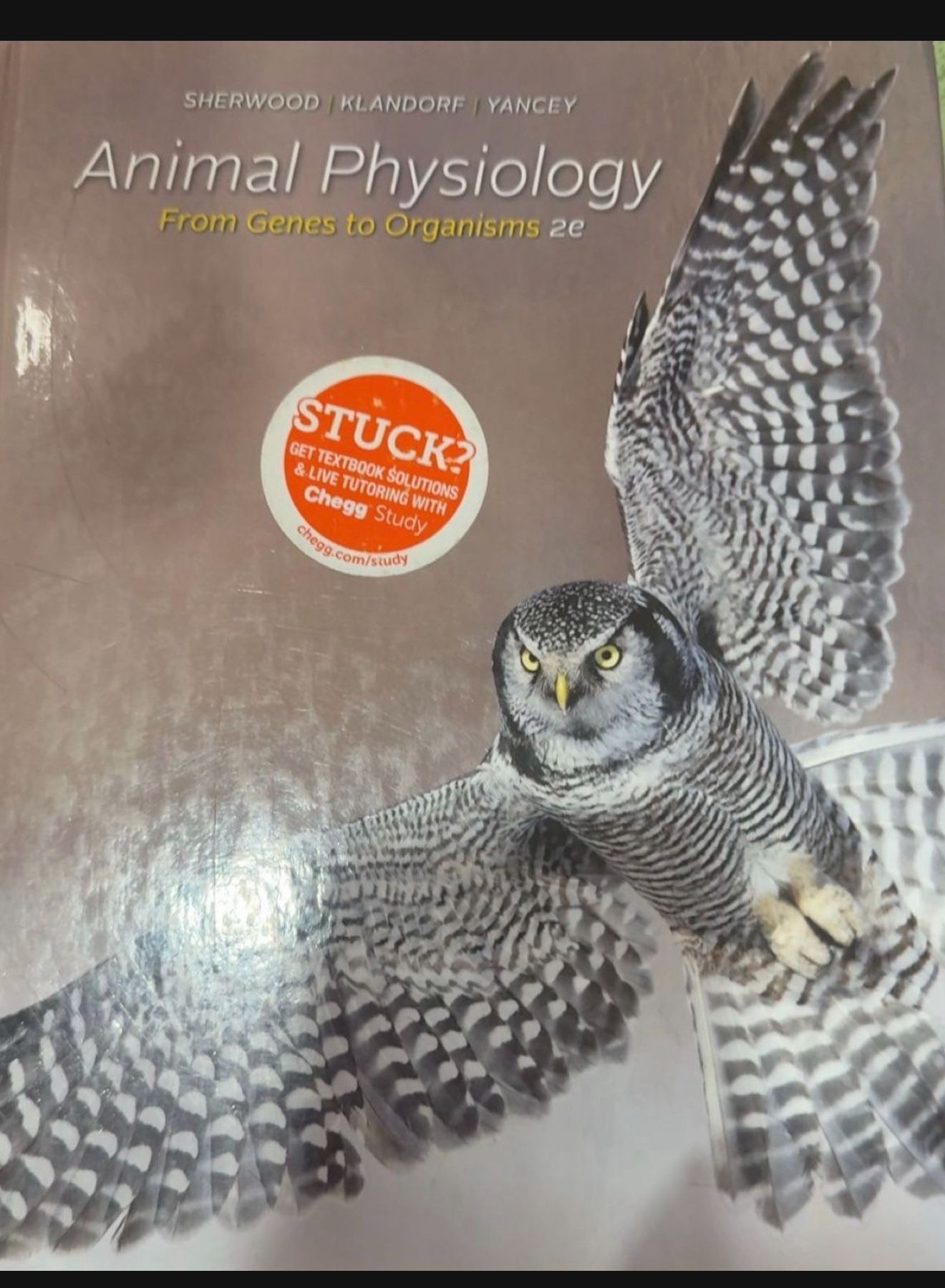 Animal Physiology