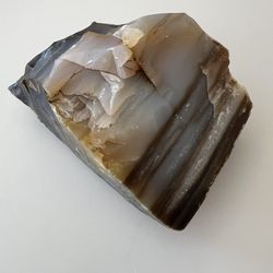 Gorgeous Petrified Wood / Paperweight