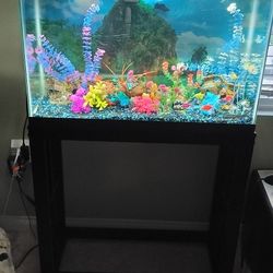 Aquarium With Fishes