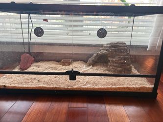 Snake tank